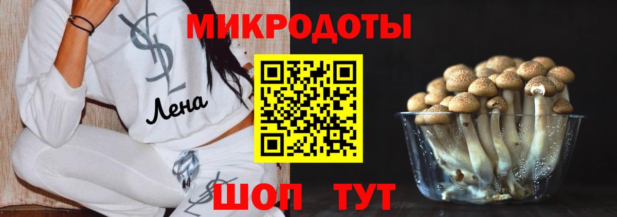 Псилоцибиновые грибы Psilocybine cubensis  Вход с VPN  Семёнов 